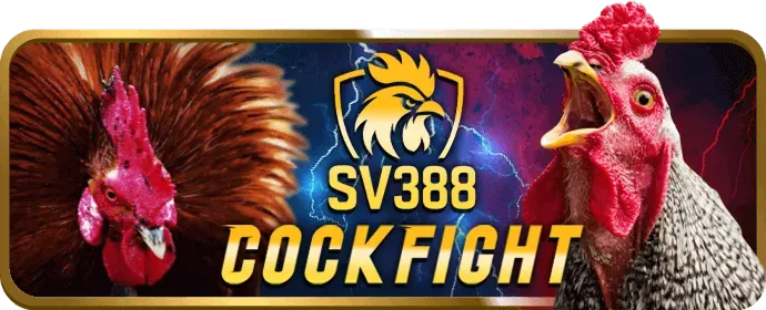 Quy trình đăng ký tài khoản SV888